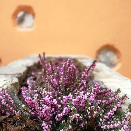 Apartmán La Corte Dell'angelo